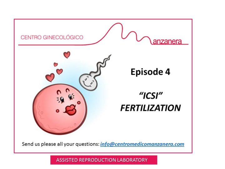 EPISODE 4. ICSI FERTILIZATION WITHIN FERTILITY TREATMENTS (IVF)