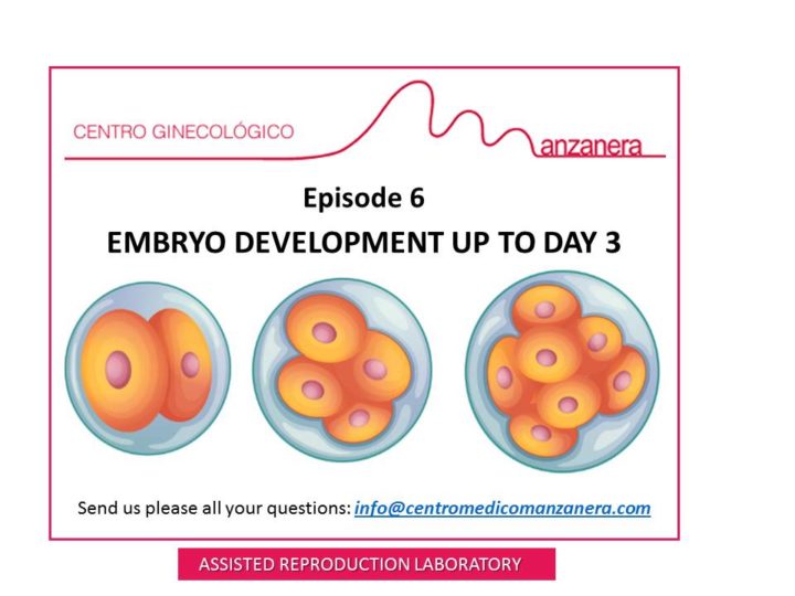 EPISODE 6. EMBRYO DEVELOPMENT UP TO DAY 3