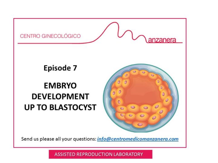 EPISODE 7. EMBRYO DEVELOPMENT UP TO BLASTOCYST (5th day)