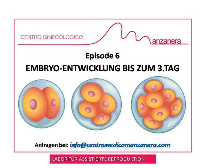 EPISODE 6. EMBRYO-ENTWICKLUNG  BIS ZUM  3. TAG  INNERHALB DER ASSISTIERTEN REPRODUKTION (IVF)