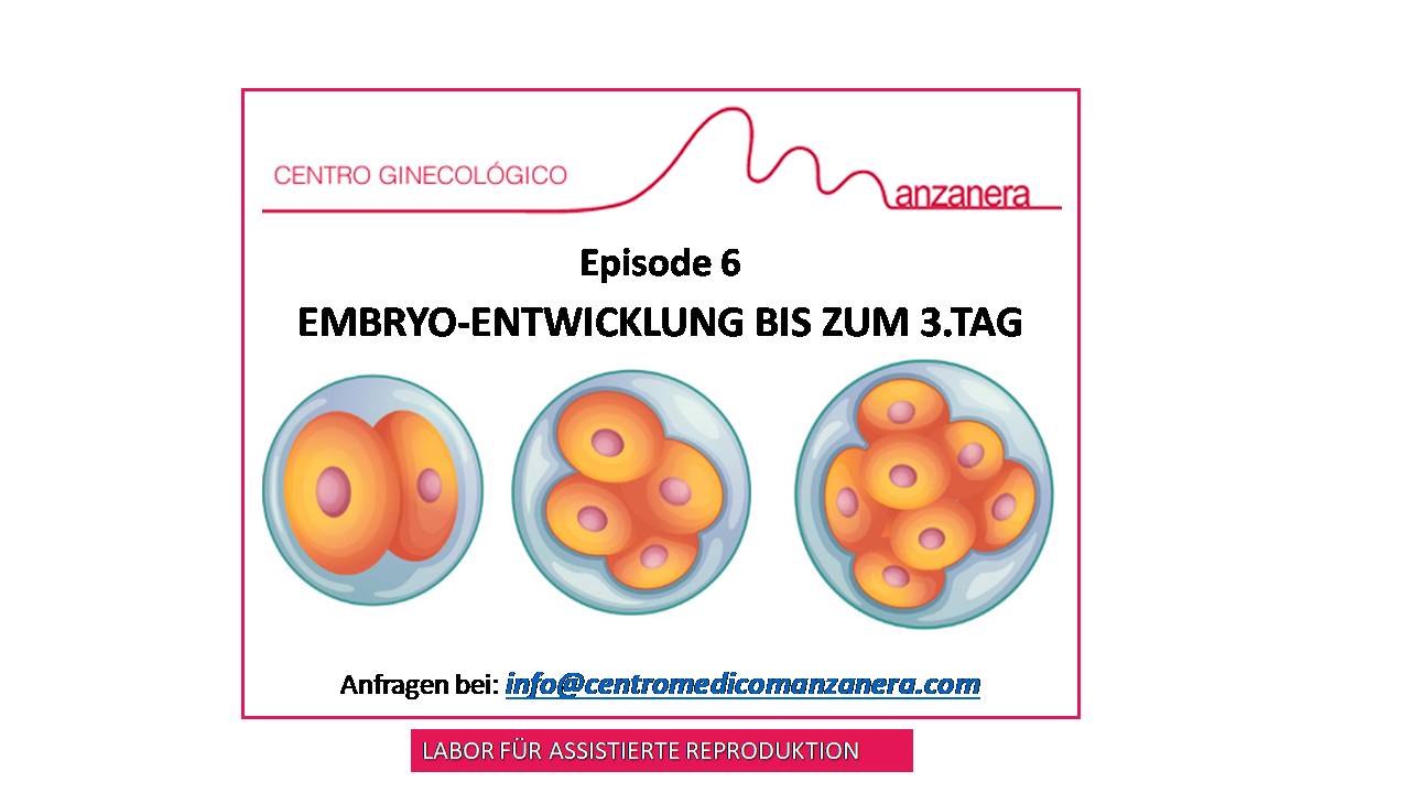 Episode 6 Embryo Entwicklung Bis Zum 3 Tag Innerhalb Der Assistierten Reproduktion Ivf Centro Medico Manzanera