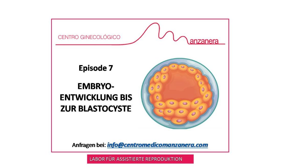 EPISODE 7. EMBRYOENTWICKLUNG BIS ZUR BLASTOCYSTE (5. TAG) Centro Médico Manzanera