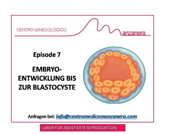 EPISODE 7. EMBRYO-ENTWICKLUNG BIS ZUR BLASTOCYSTE (5. TAG)