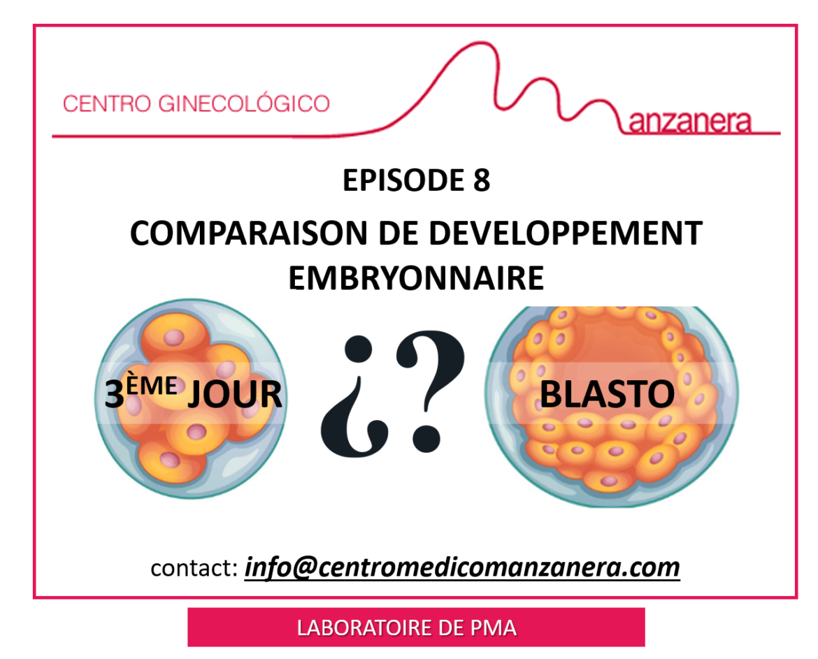 EPISODE 8. COMPARAISON ENTRE LES EMBRYONS AU 3ÈME JOUR ET AU 5ÈME JOUR (BLASTOCYSTE) DANS LES