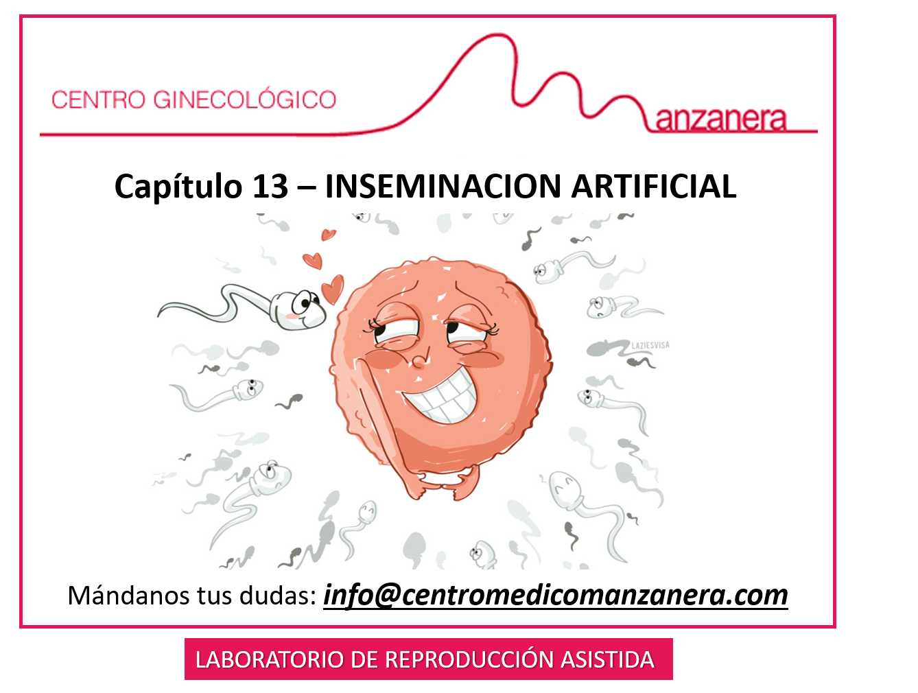 CAPITULO 13. INSEMINACION ARTIFICIAL EN REPRODUCCION ASISTIDA - Centro  Médico Manzanera