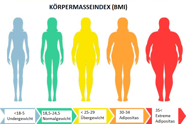 FETTLEBIGKEIT (ADIPOSITAS)  UND ASSISTIERTE REPRODUKTION (IVF-ICSI)