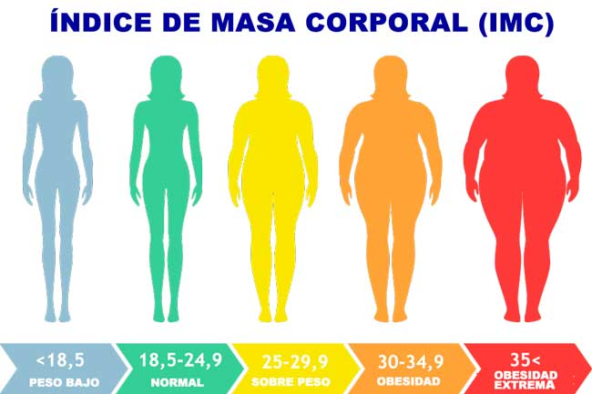 OBESIDAD Y REPRODUCCION  ASISTIDA (FIV/ICSI)