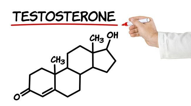 TESTOSTERONA . LA HORMONA MASCULINA QUE PUEDE AYUDAR A LA MUJER EN LOS CICLOS DE FECUNDACION IN VITRO.