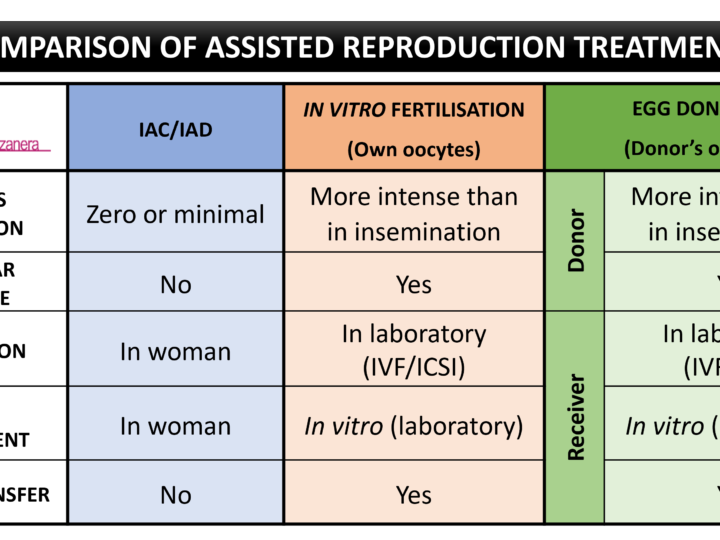 COMPARISON: ASSISTED REPRODUCTION TREATMENTS  (INSEMINATION, IVF/ICSI, EGG DONATION)
